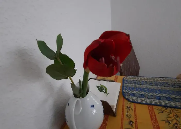 Gemuetliches Nest In Bester Koelner City-wohnlage * 科隆