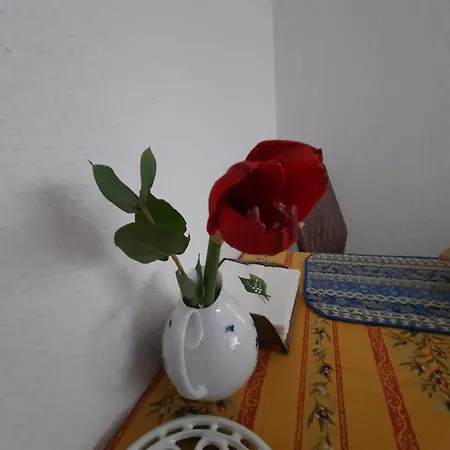 Gemuetliches Nest In Bester Koelner City-wohnlage * Kolín nad Rýnem